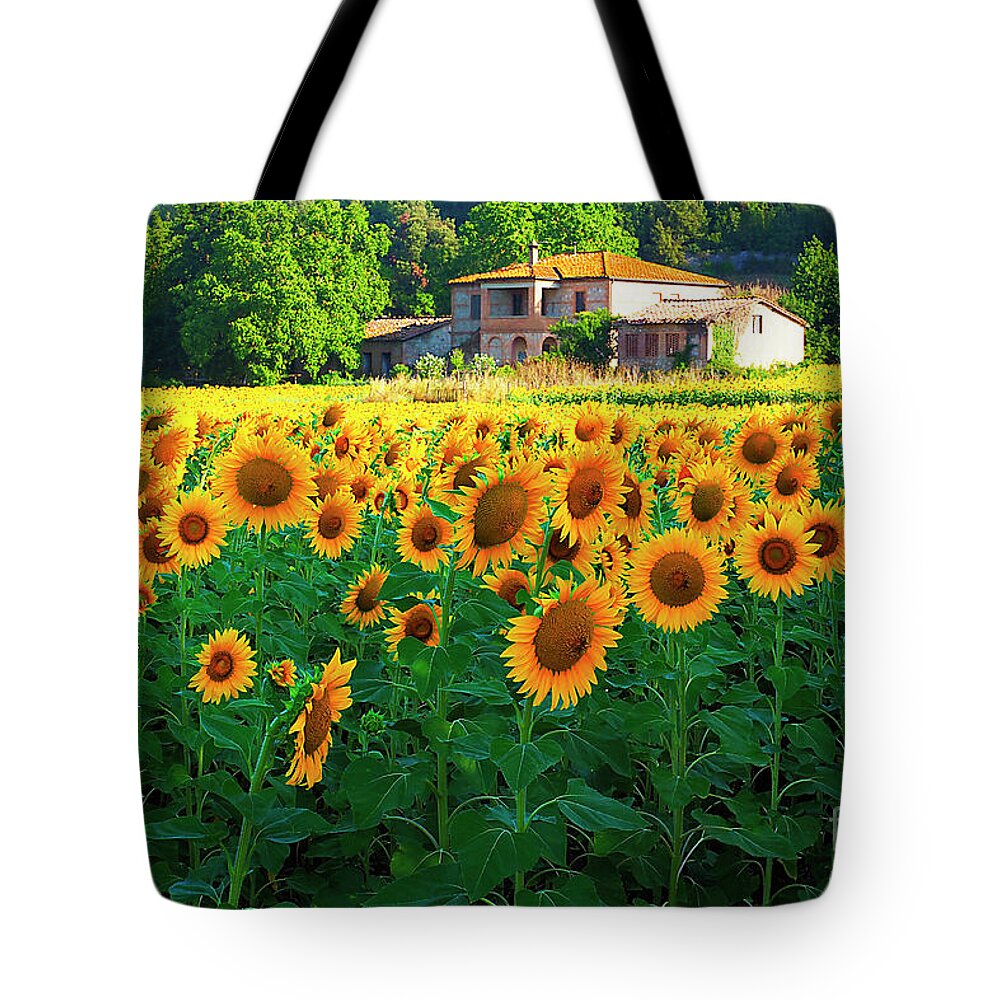 Tuscany Tote Bag featuring the photograph My Tuscany # 11. by Alexander Vinogradov