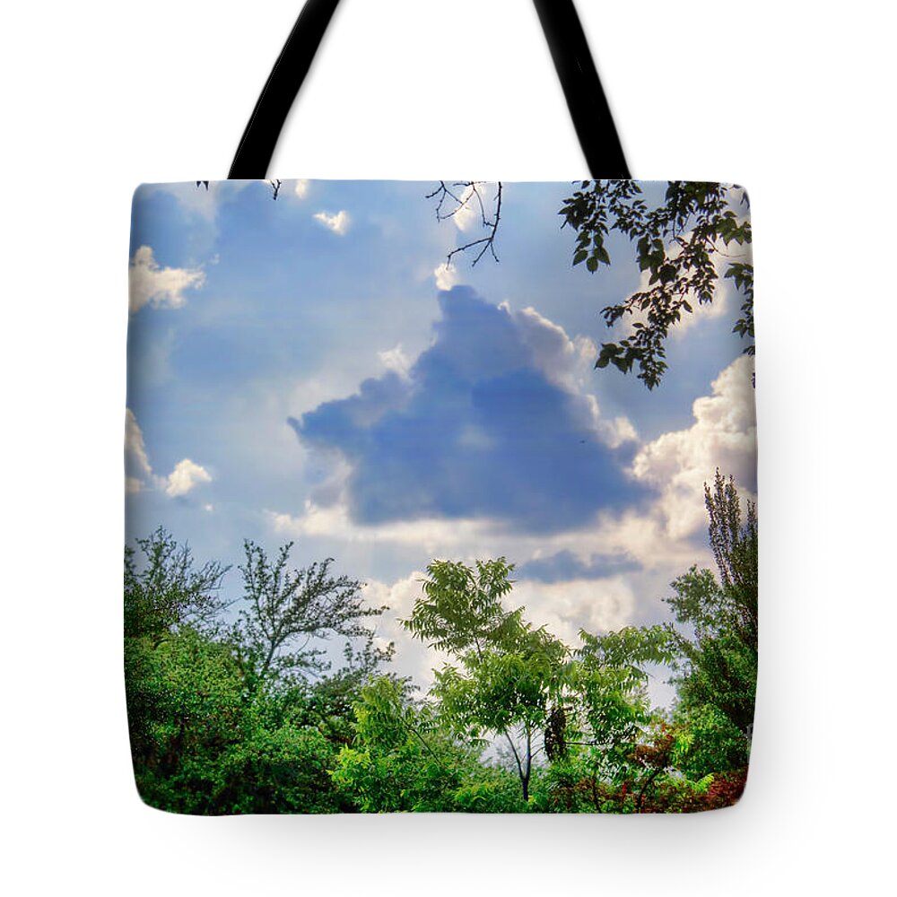 Sky Tote Bag featuring the photograph My Window to the Sky by Joan Bertucci