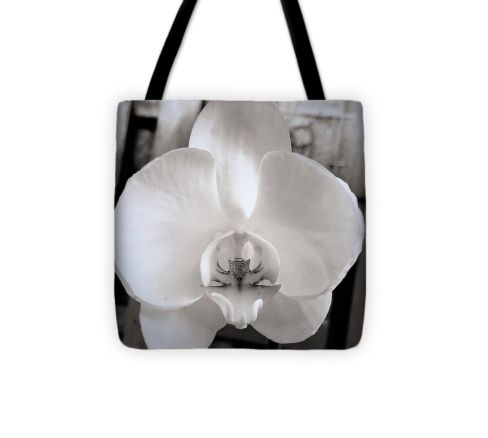 Orchids St Augustine Florida Usa John Anderson Tote Bag featuring the photograph My World of Orchids by John Anderson