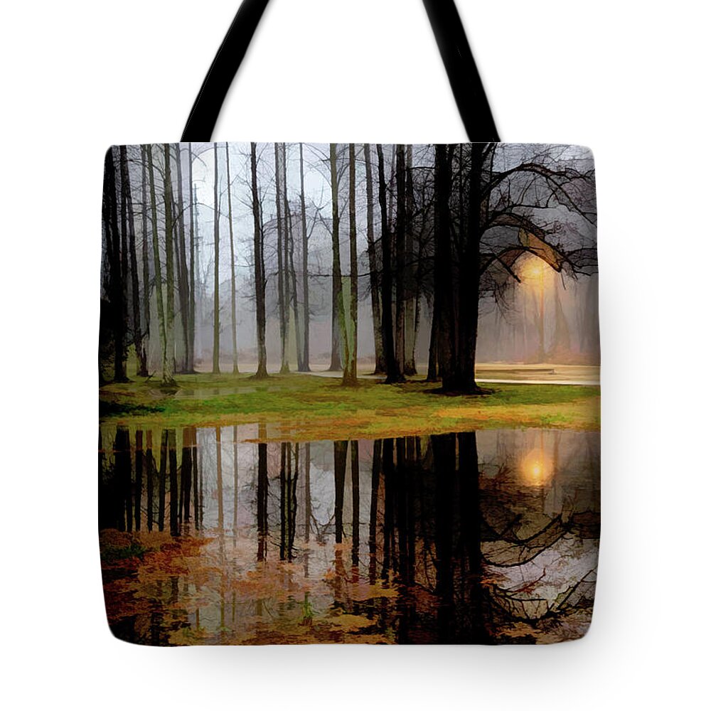 Carolina Tote Bag featuring the photograph Mysterious Forest Reflections Abstract Painting by Debra and Dave Vanderlaan