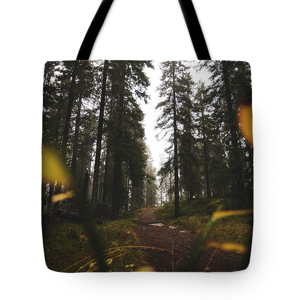 Outdoor Tote Bag featuring the photograph Mysterious misty forest in the rain by Vaclav Sonnek