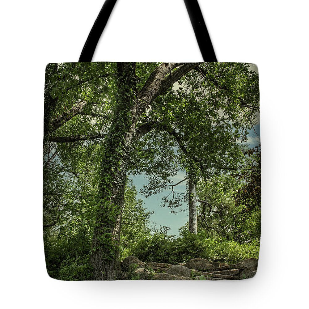Climbing Tote Bag featuring the photograph Mysterious Stairway Into The Wild by Susan Vineyard