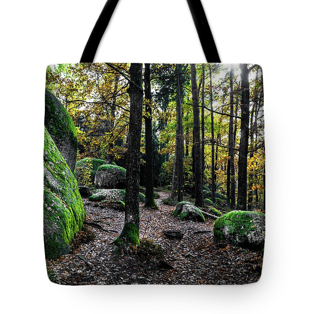 Abandoned Tote Bag featuring the photograph Mystic Landscape Of Nature Park Blockheide With Granite Rock Formations In Waldviertel In Austria by Andreas Berthold