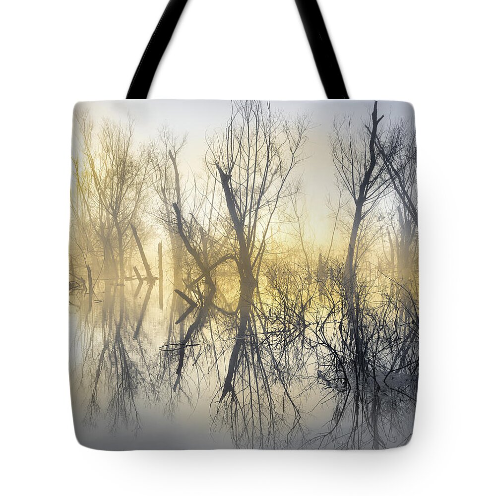 Abstract Tote Bag featuring the photograph Mystical Lake by Jordan Hill