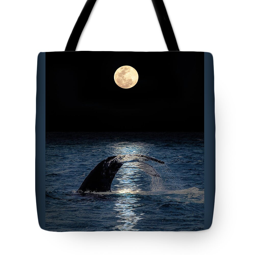 2/18 Tote Bag featuring the photograph Mystical Moments by Louise Lindsay