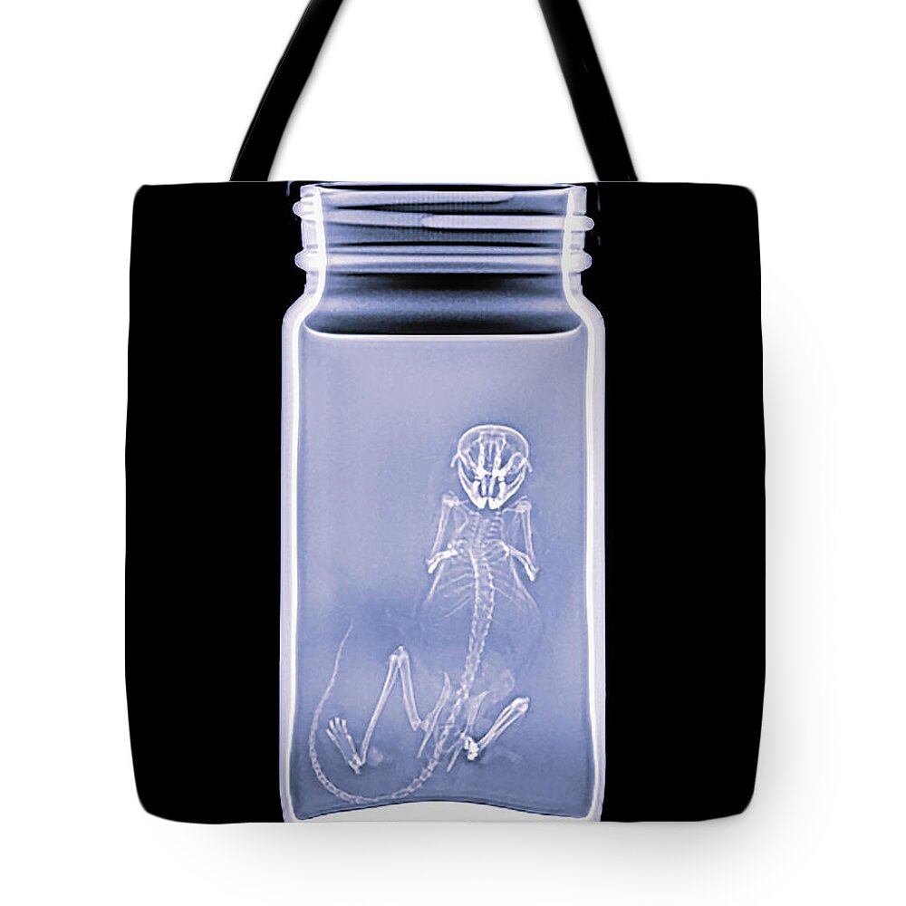 Mammal Tote Bag featuring the photograph NA Deermouse -1 by Rob Graham