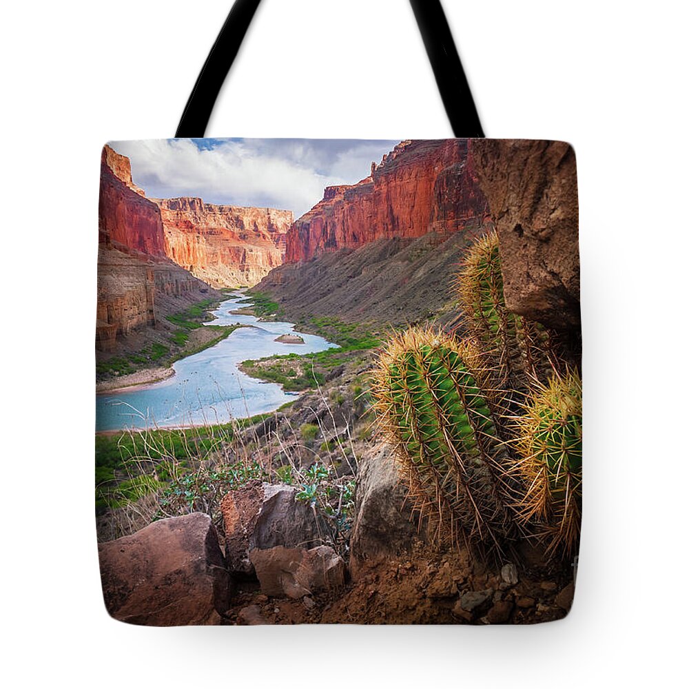 America Tote Bag featuring the photograph Nankoweap Cactus by Inge Johnsson