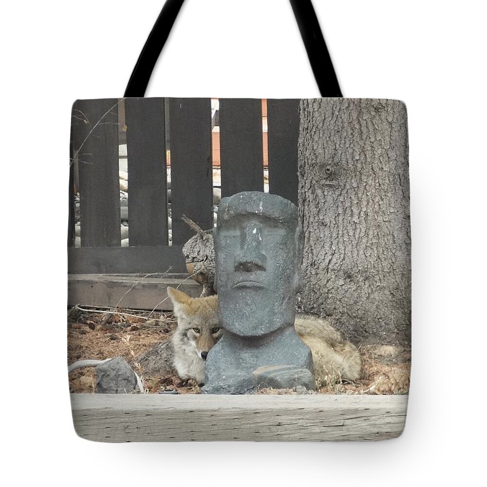 Coyote Tote Bag featuring the photograph Napping coyote by Lisa Mutch