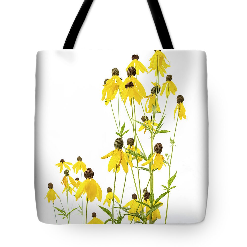 Sugar Grove Tote Bag featuring the photograph Native to Prairie by Ray Silva
