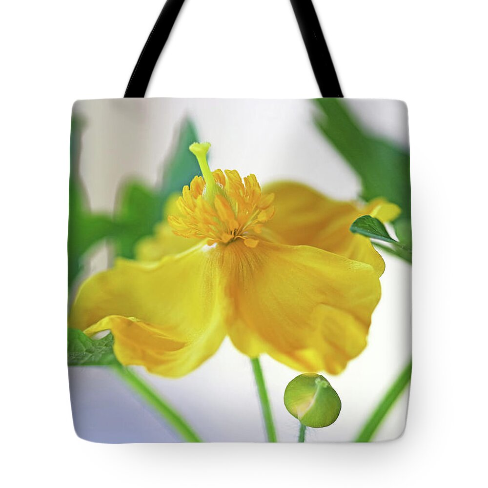Wood Poppy Tote Bag featuring the photograph Native Wood Poppy by Debbie Oppermann
