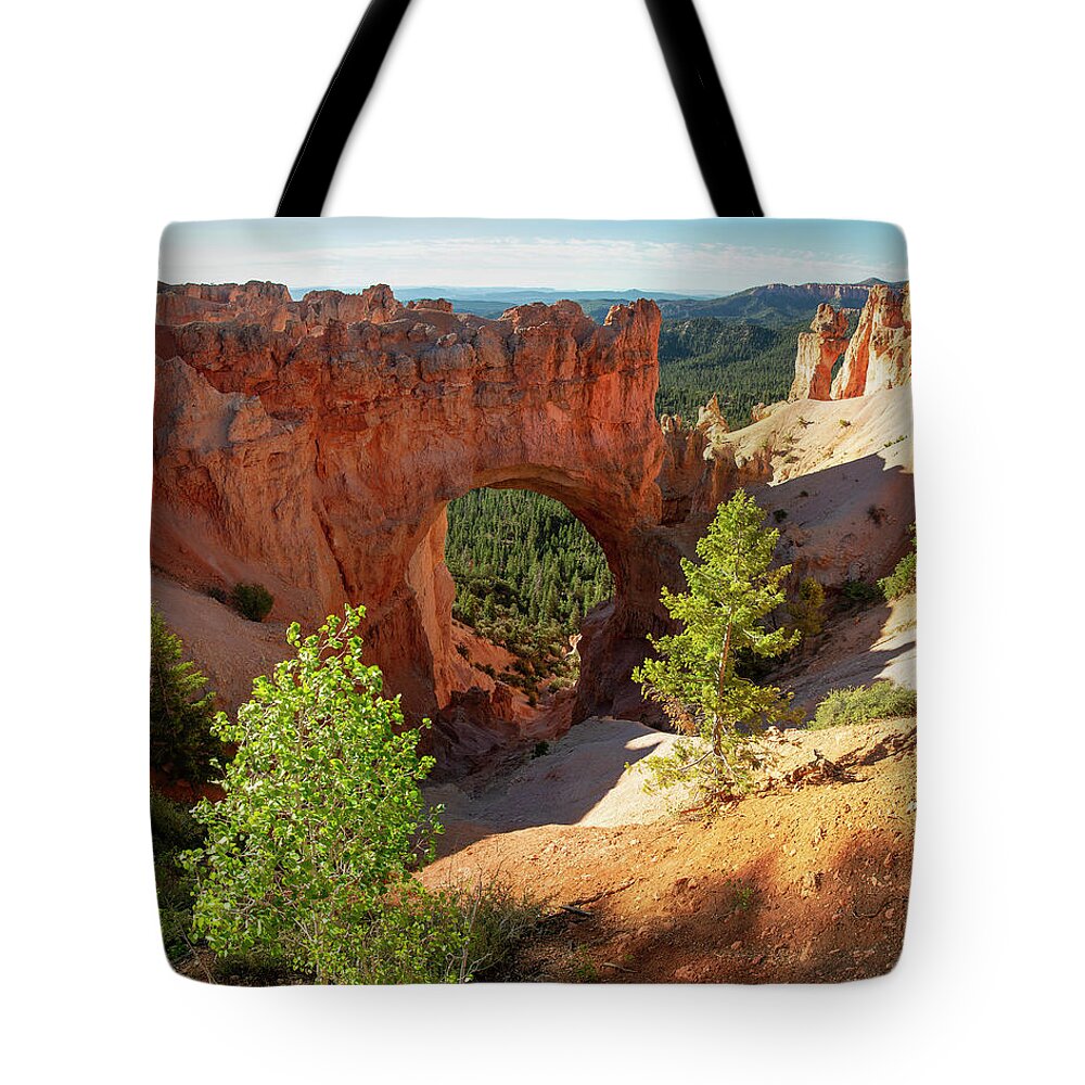 Bryce Tote Bag featuring the photograph Natural Arch by Aaron Spong