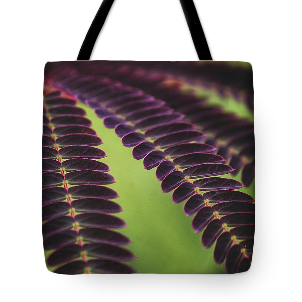 Mountain Tote Bag featuring the photograph Natural Patterns by Go and Flow Photos