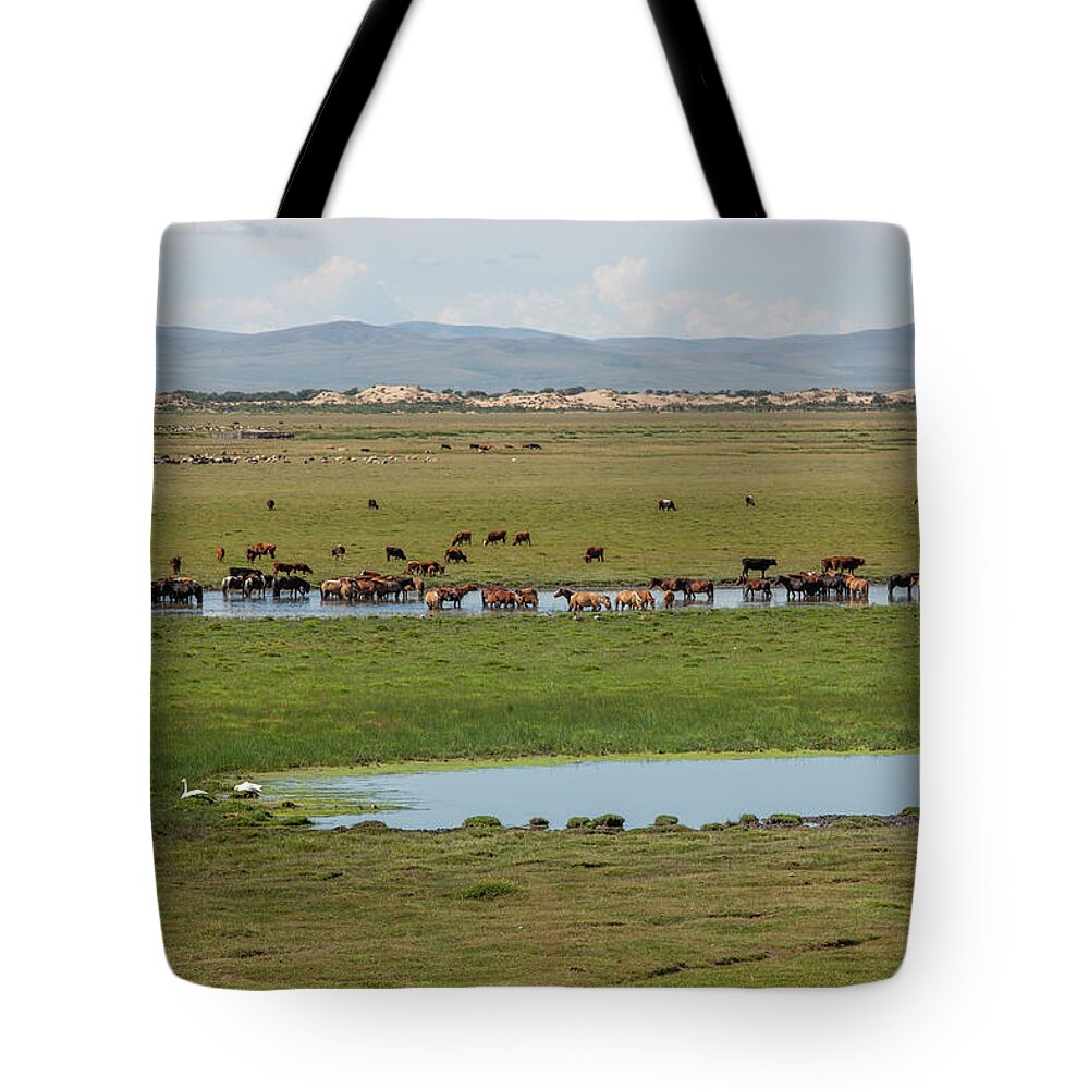 Herders Lifestyle Tote Bag featuring the photograph Nature Mongolia by Bat-Erdene Baasansuren