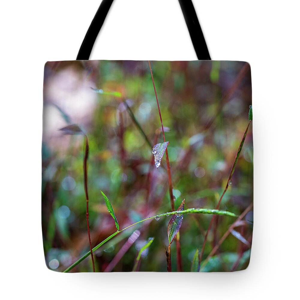 Fall Tote Bag featuring the photograph Nature Photography - Fall Grass by Amelia Pearn