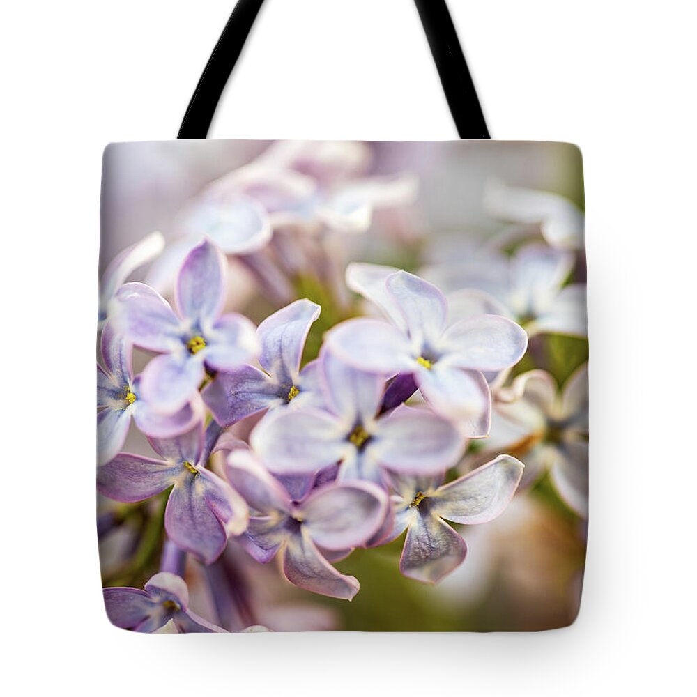 Pink Flowers Tote Bag featuring the photograph Nature Photography - Lilacs by Amelia Pearn
