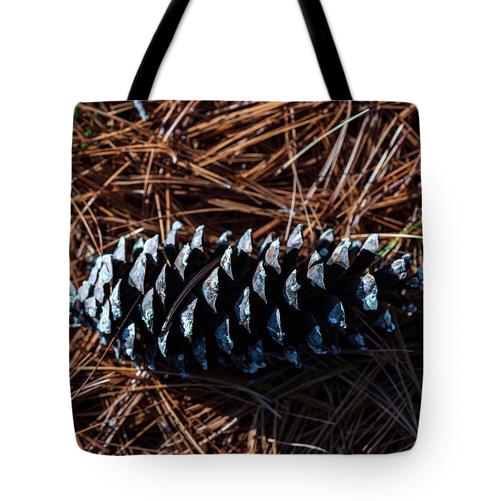 Nature Tote Bag featuring the photograph Nature Photography - Pine Cone 2 by Amelia Pearn