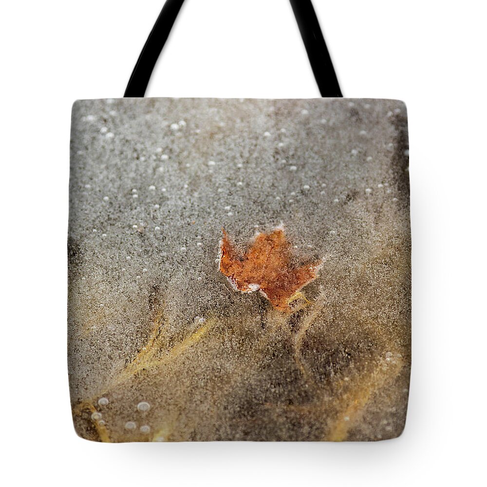 Landscapes Tote Bag featuring the photograph Nature Photography - Pond Ice by Amelia Pearn