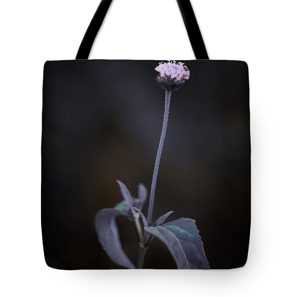 Flowers Tote Bag featuring the photograph Nature Pic 3 by Gian Smith