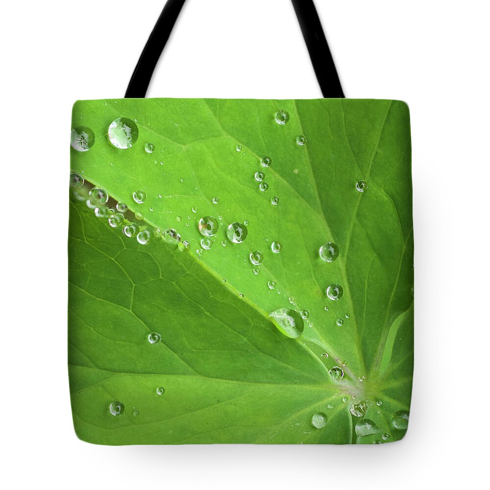 Flora Tote Bag featuring the photograph Nature's Beading by Melissa Southern