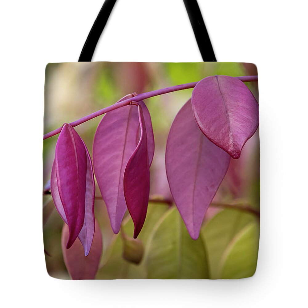 Natures Beauty Tote Bag featuring the digital art Natures beauty 70003 by Kevin Chippindall