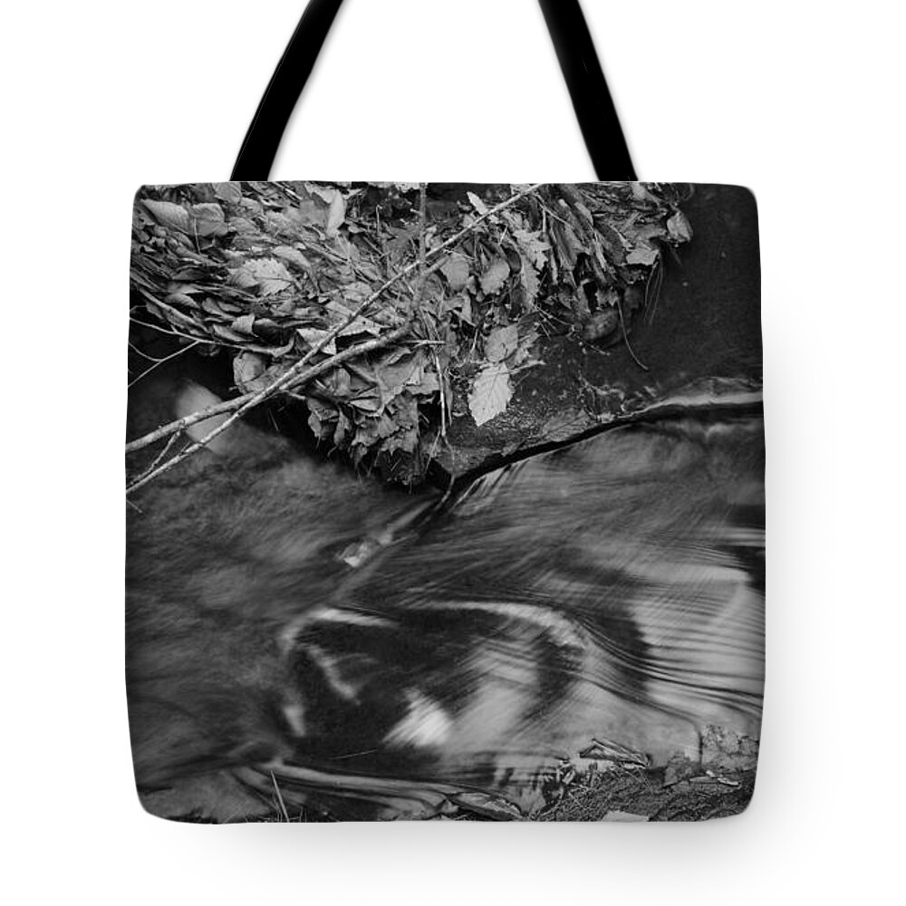 Watkins Glen State Park Sp Tote Bag featuring the photograph Nature's Beauty in Black and White by fototaker Tony