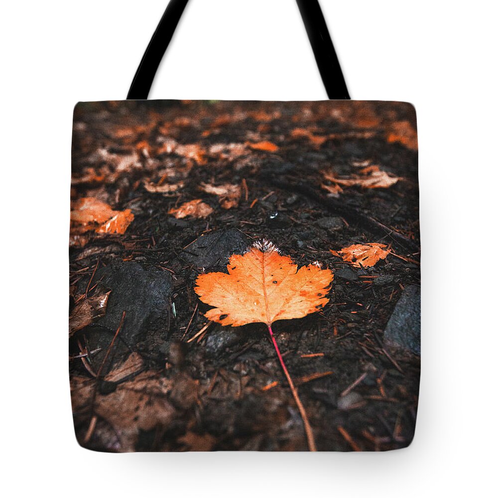 Canada Tote Bag featuring the photograph Natures Breadcrumbs by Carmen Kern