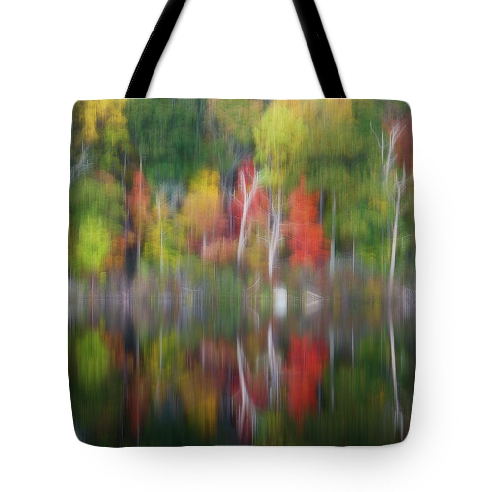 Harriman State Park Tote Bag featuring the photograph Natures Color Palette II by Susan Candelario