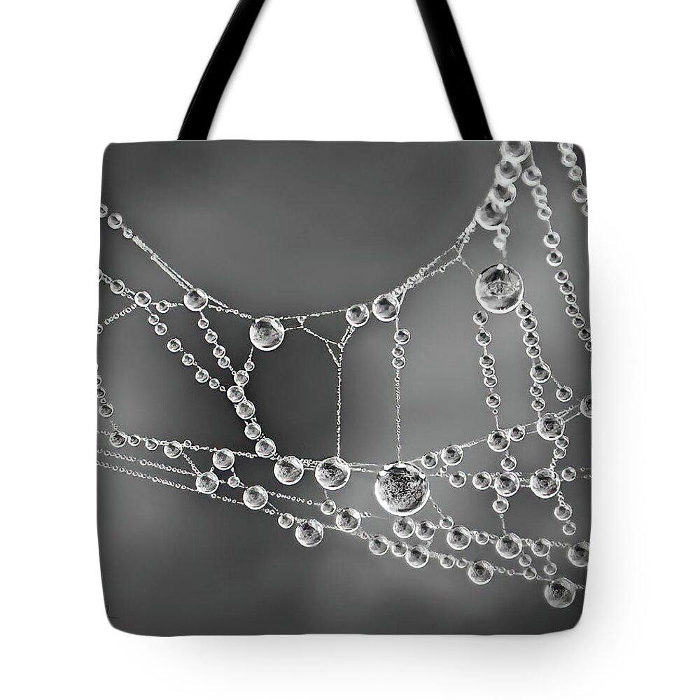 Spider Web Tote Bag featuring the photograph Natures Jewels by Shara Abel