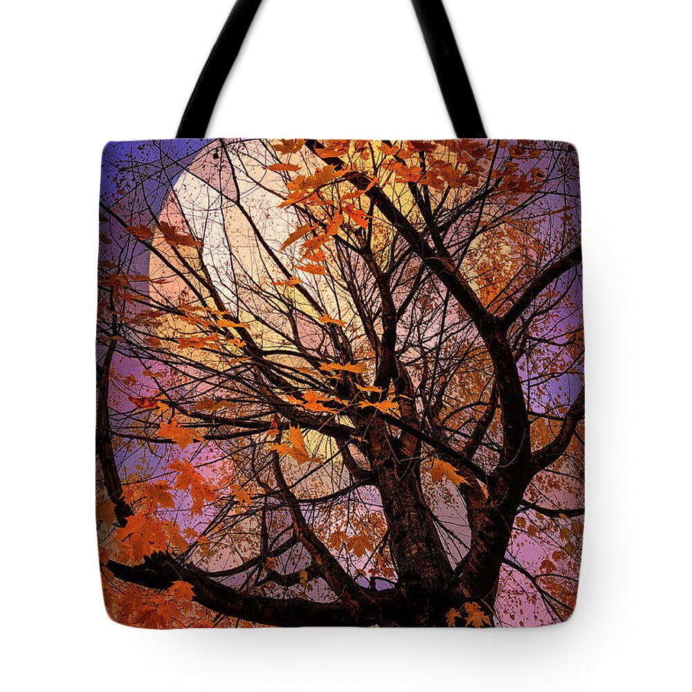 Carolina Tote Bag featuring the photograph Nature's Moonlit Night Embrace by Debra and Dave Vanderlaan