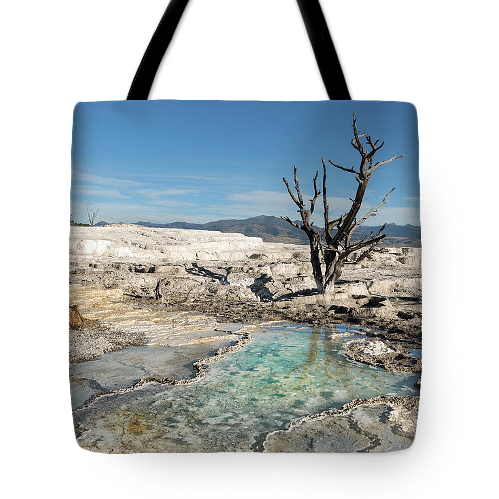 Landscape Tote Bag featuring the photograph Nature's Palette by Sandra Bronstein