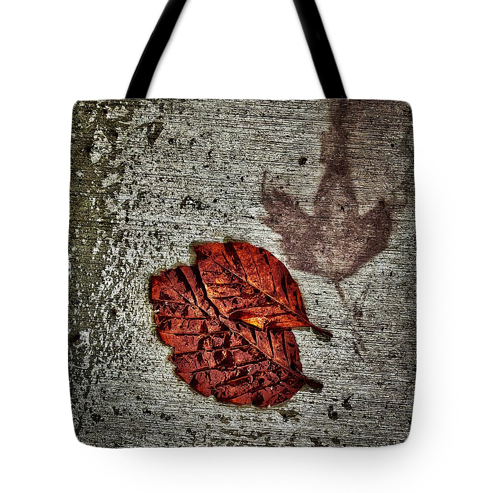 Leaf Tote Bag featuring the photograph Natures Printing Press by Suzanne Lorenz