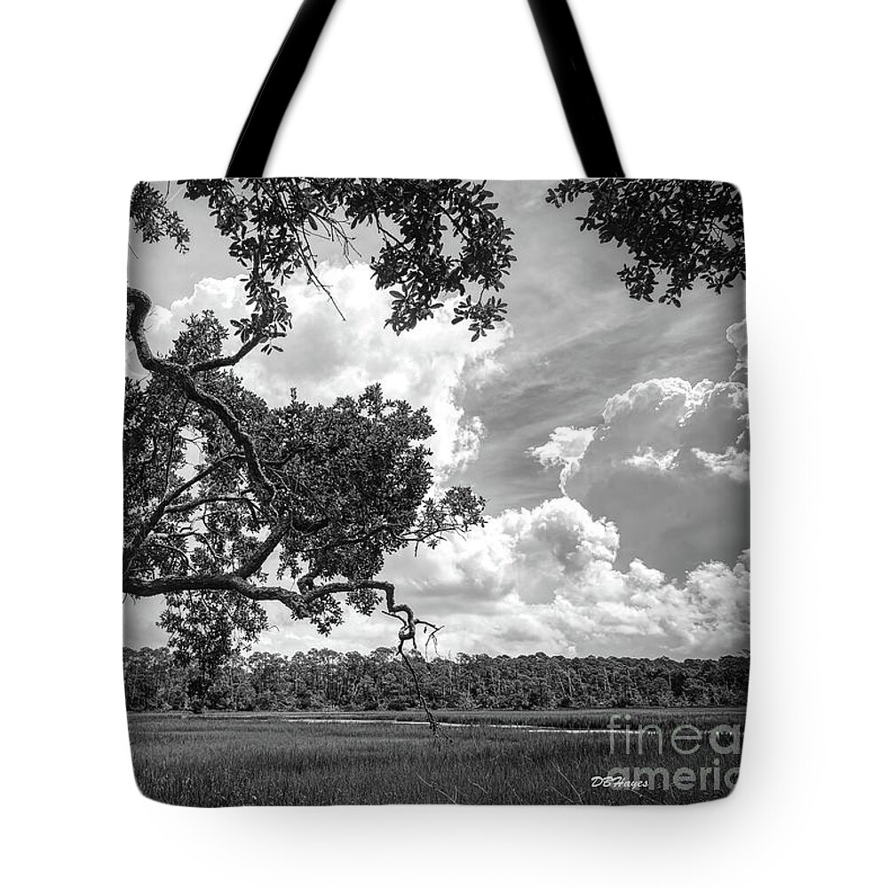 Nature Tote Bag featuring the photograph Natures Serenity In Black and White by DB Hayes