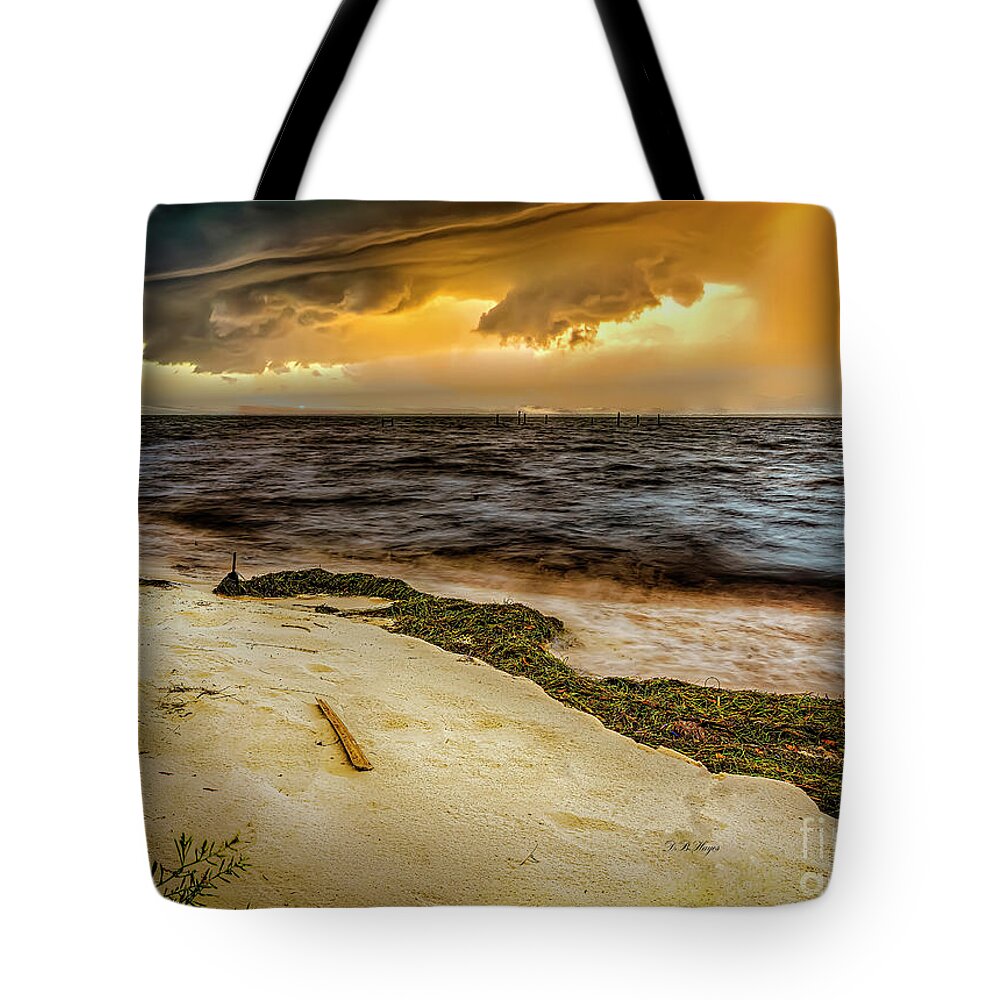 Nature Tote Bag featuring the photograph Nature's Spectacle by DB Hayes