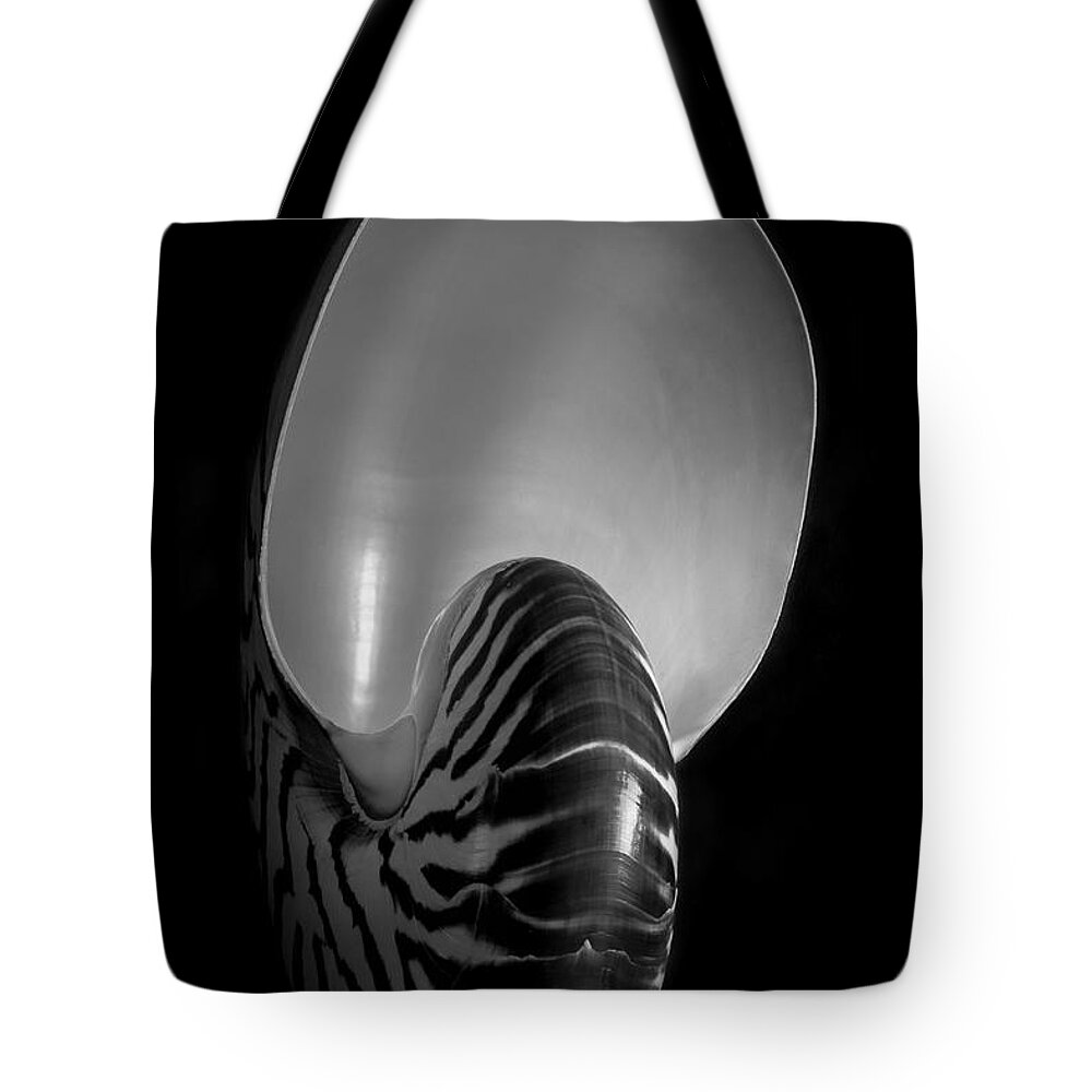 Black And White Tote Bag featuring the photograph Nautilus Shell IV BW by David Gordon