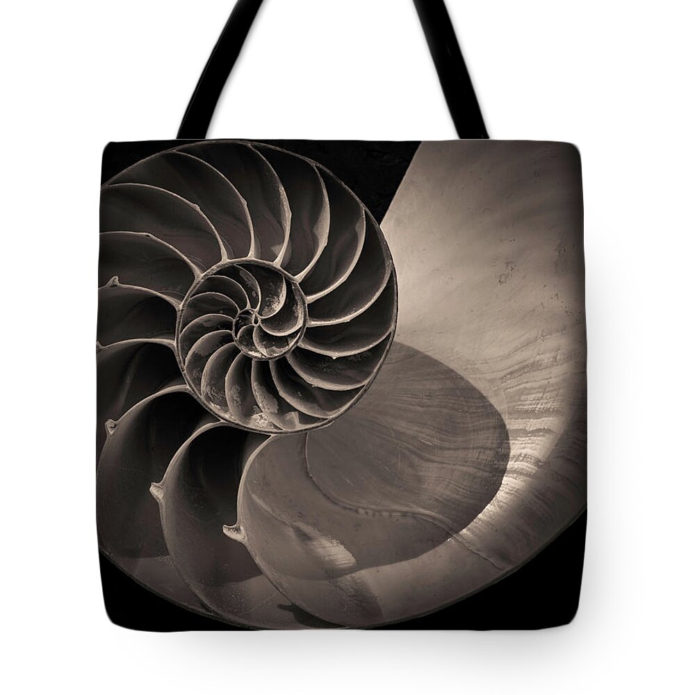  Black And White Tote Bag featuring the photograph Nautilus Shell V Toned by David Gordon