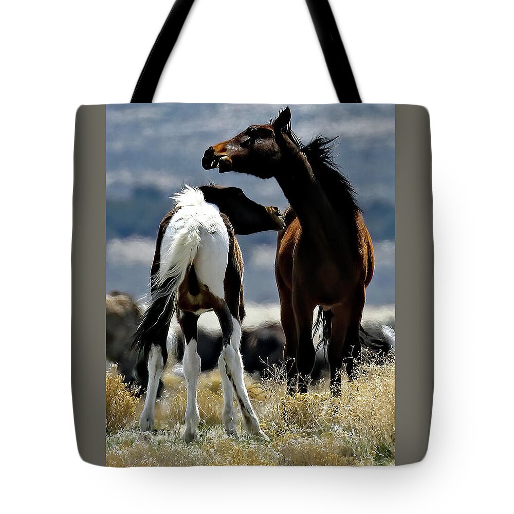 Utah Tote Bag featuring the photograph Neck To Neck, Onaqui Wild Horse by Jennifer Robin