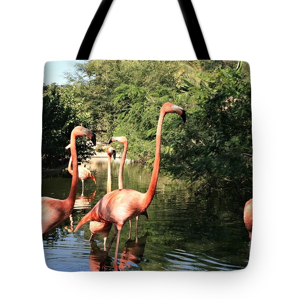 Nature Tote Bag featuring the photograph Necks Up Everyone by Mary Mikawoz