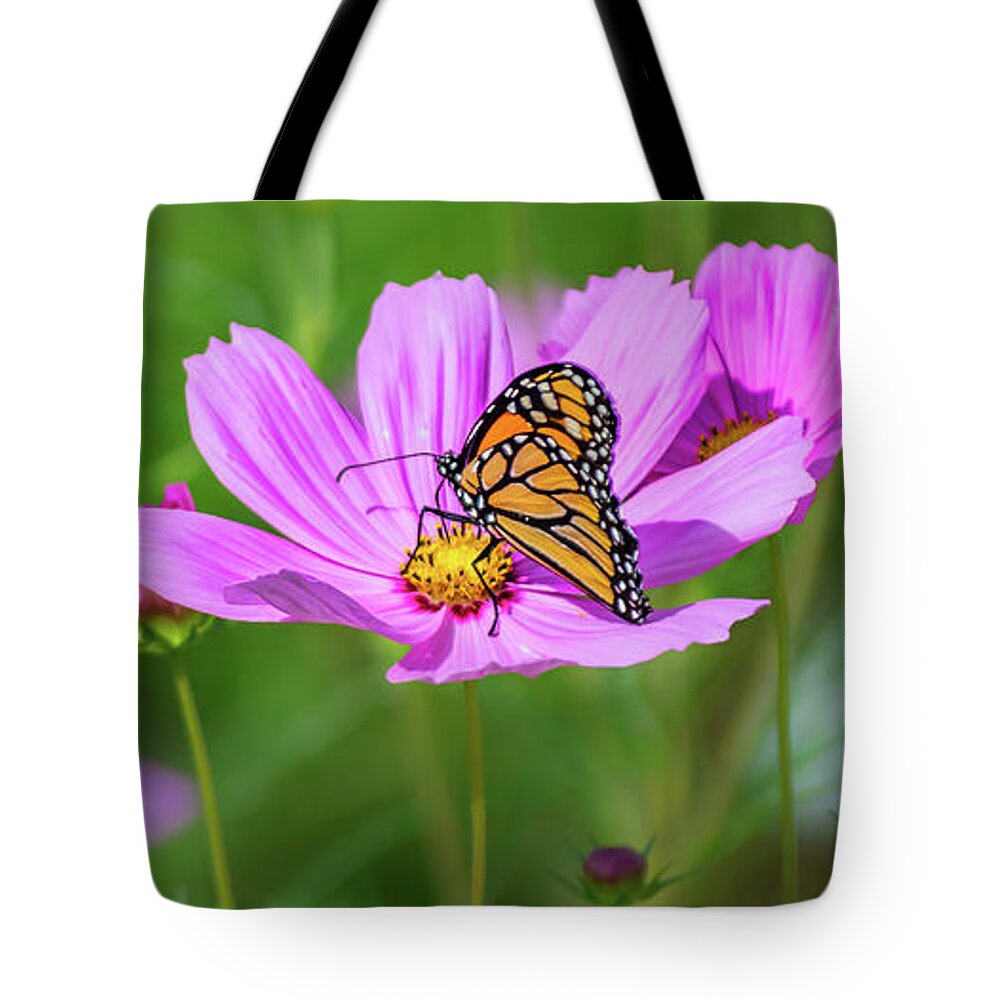 Brookside Gardens Tote Bag featuring the photograph Nectar by Stewart Helberg