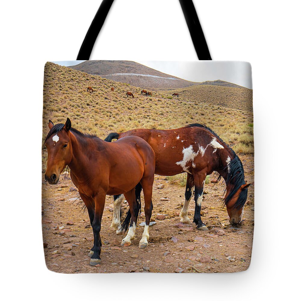 Horse Tote Bag featuring the photograph Nevada Mustangs by Ron Long Ltd Photography