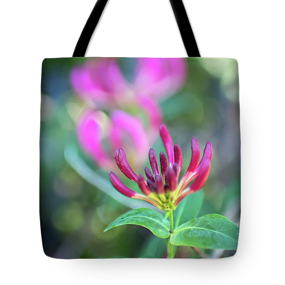 Honeysickle Tote Bag featuring the photograph New Beginnings by Amy Dundon