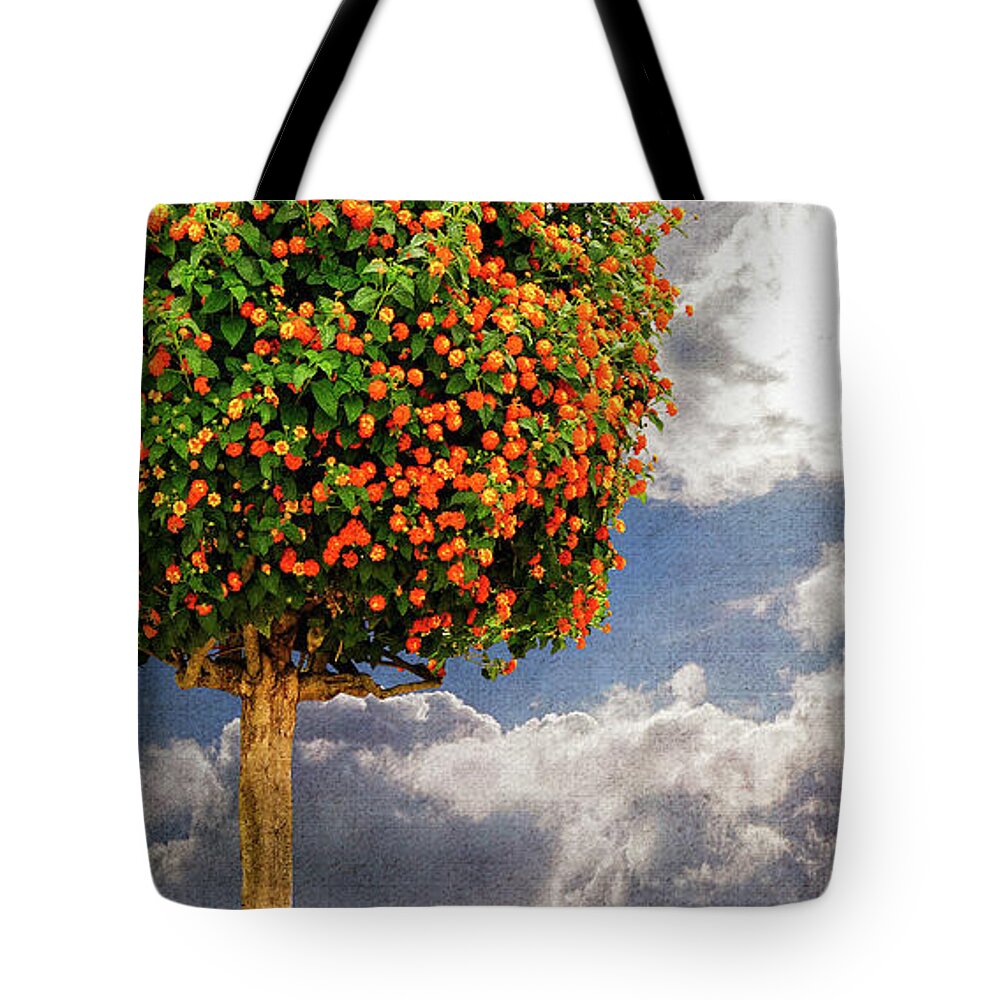 Nag005890 Tote Bag featuring the digital art New Day In May by Edmund Nagele FRPS