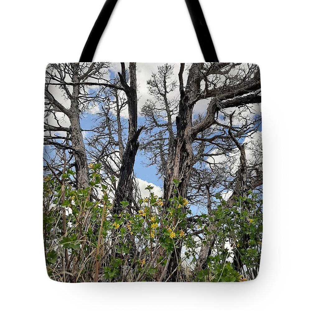 Burn Tote Bag featuring the photograph New Growth by Burned Juniper by Amanda R Wright
