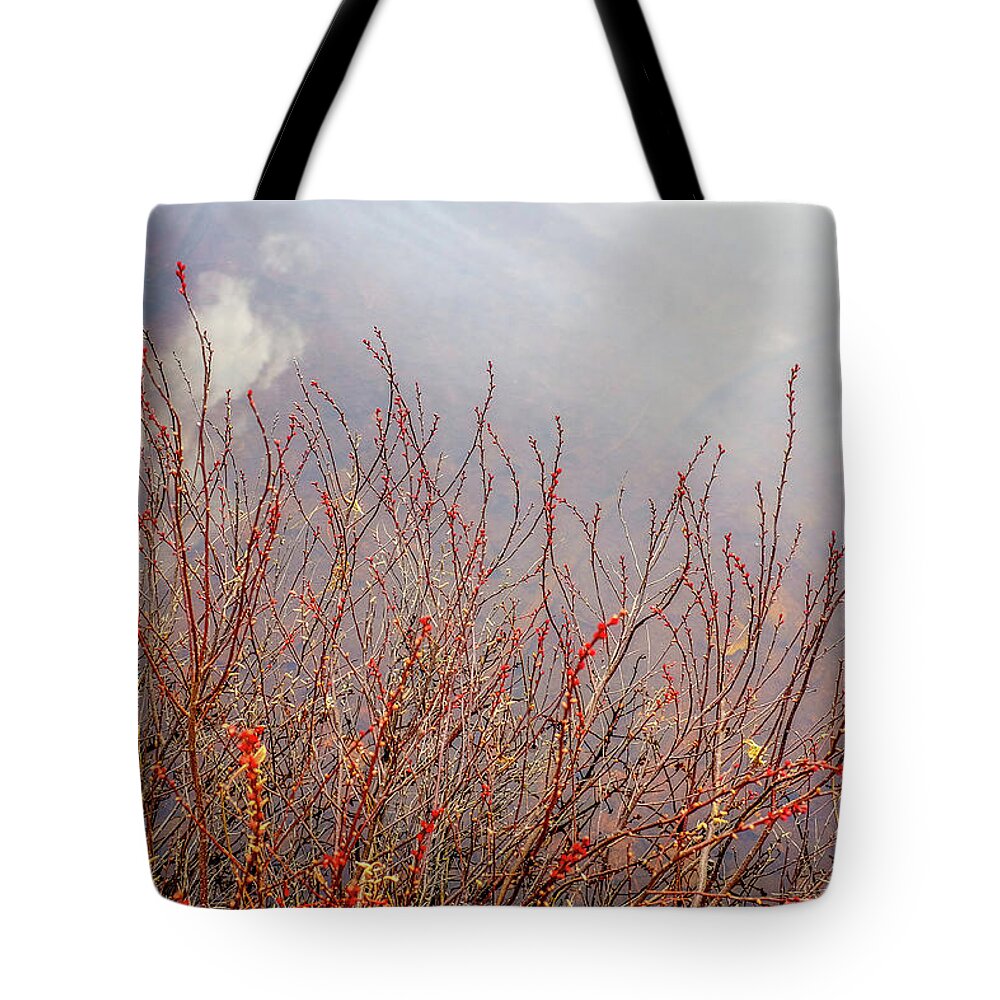 New Hampshire Tote Bag featuring the photograph New Growth, Spring Reflections. by Jeff Sinon