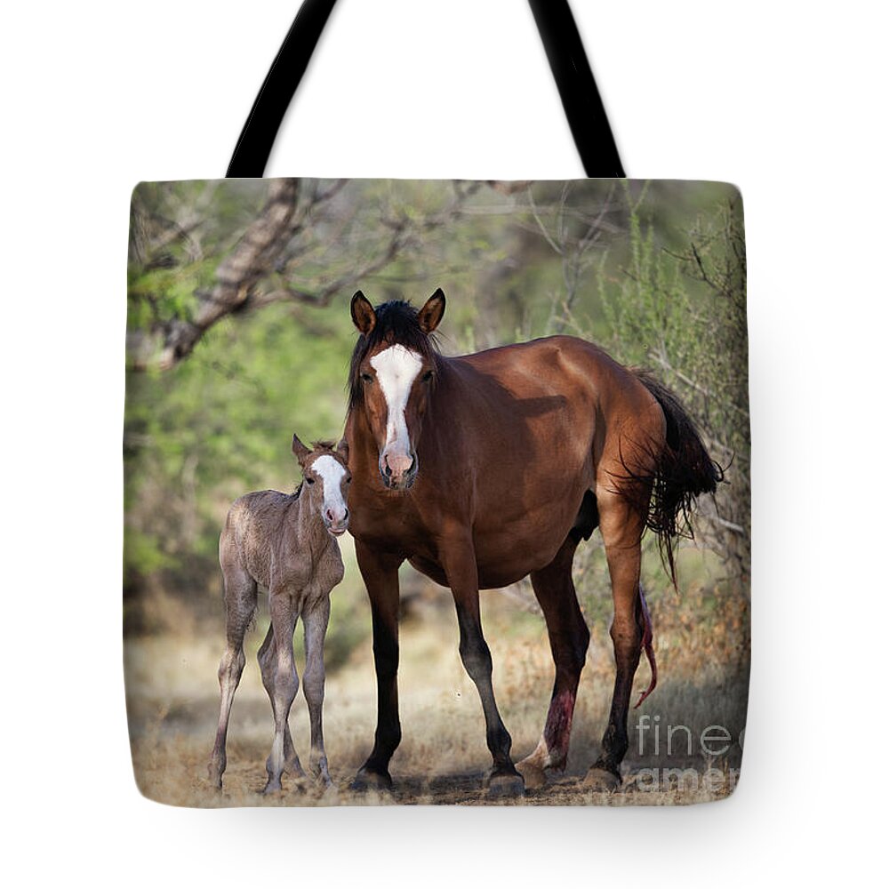 Cute Foal Tote Bag featuring the photograph Newborn by Shannon Hastings