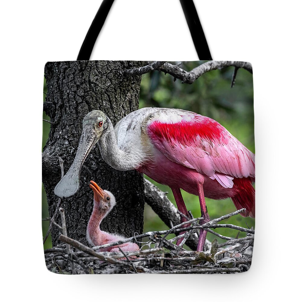 Newborn Spoonbill Tote Bag featuring the photograph Newborn Spoonbill by Wes and Dotty Weber