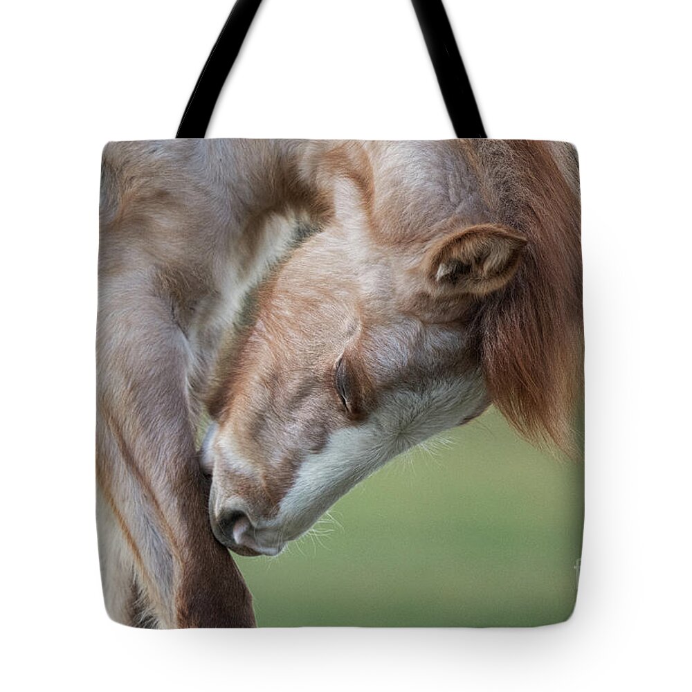 Cute Foal Tote Bag featuring the photograph Nibble by Shannon Hastings
