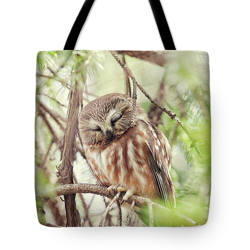 Spring Tote Bag featuring the photograph Night Owl by Carrie Ann Grippo-Pike
