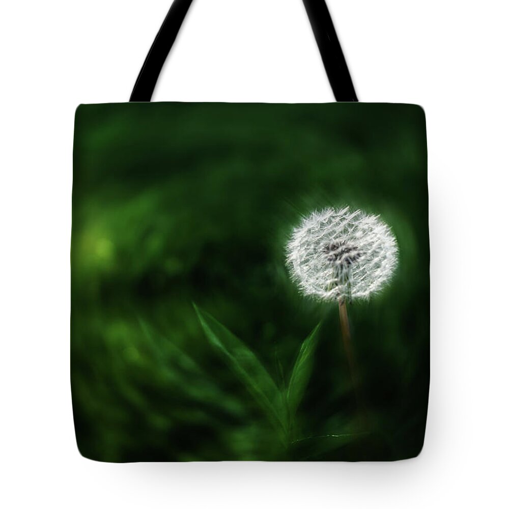 Night Wishes Tote Bag featuring the photograph Night Wishes by Sharon Popek