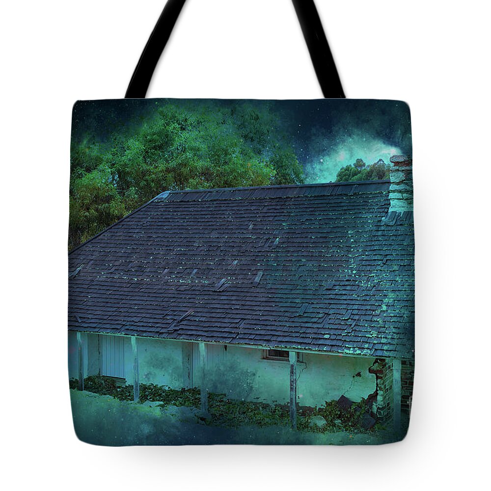Night Time Tote Bag featuring the photograph Nightfall by Elaine Teague
