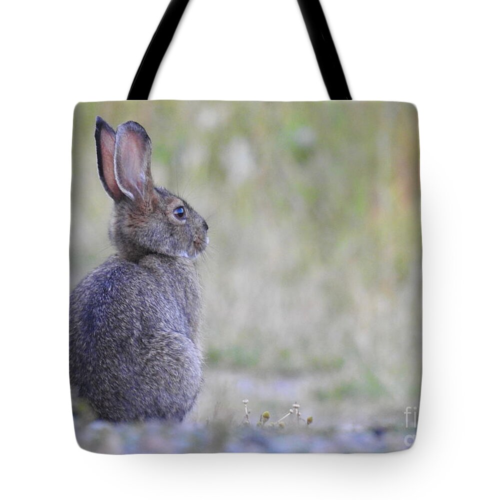 Rabbit Tote Bag featuring the photograph Nipped by frost by Nicola Finch